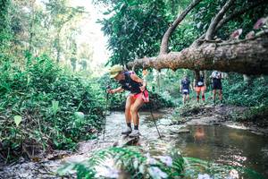 BIB: 
                            <button type="button" onclick="openModal(25436075)" class="btn btn-primary btn-sm float-right btn-popup" data-toggle="modal" data-target=".modal-high-quality">
                        <i class="fas fa-shopping-cart"></i> Add to Cart
                    </button>
                                            <button type="button" onclick="isThisMe(25436075, true)" class="btn btn-success btn-sm float-right btn-popup btn-isme hidden" data-toggle="tooltip" data-placement="bottom" title="นี่คือรูปของคุณใช่ไหม คลิกที่นี่เพื่อเอาเข้าอัลบั้ม">
                        <i class="fas fa-plus"></i> Add to album
                    </button>
                    <button type="button" onclick="isThisMe(25436075, false)" class="btn btn-warning btn-sm float-right btn-popup btn-isnotme hidden">
                        <i class="fas fa-ban"></i> Remove from album
                    </button>